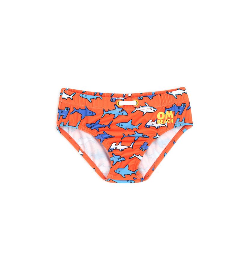 Beach brief
