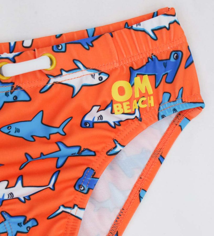 Beach brief