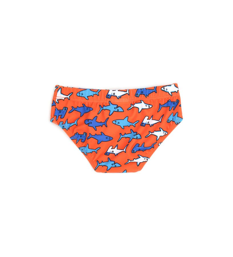 Beach brief