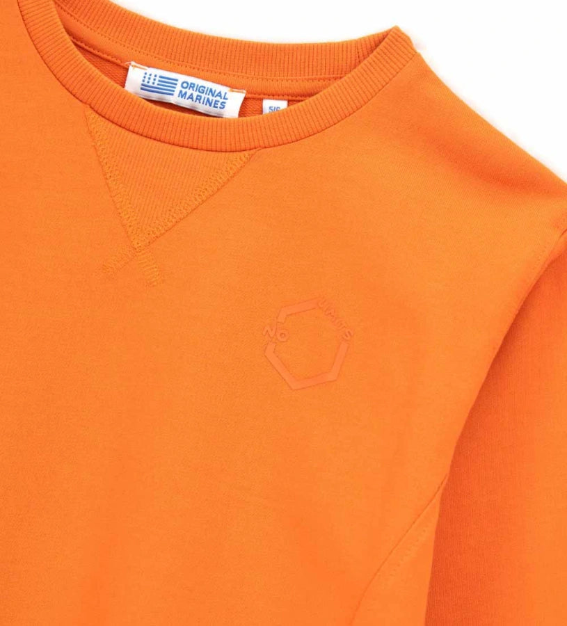 Sweatshirt with print