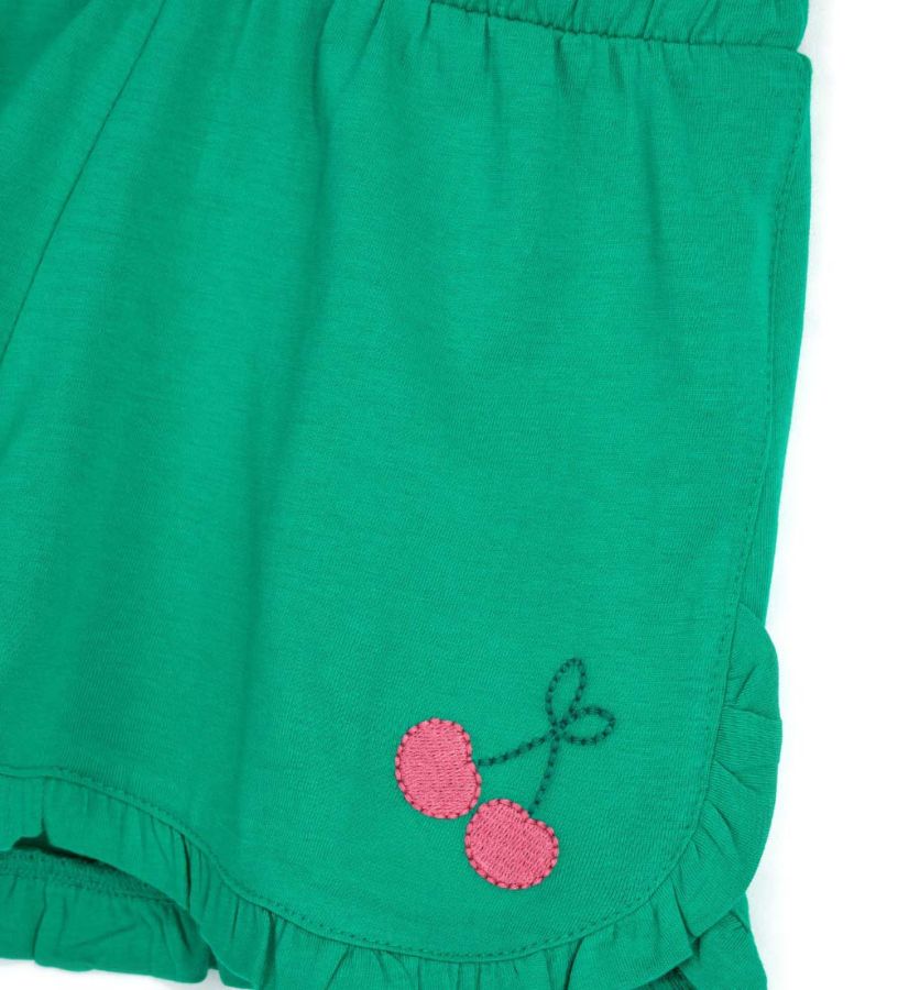 Shorts with embroidery