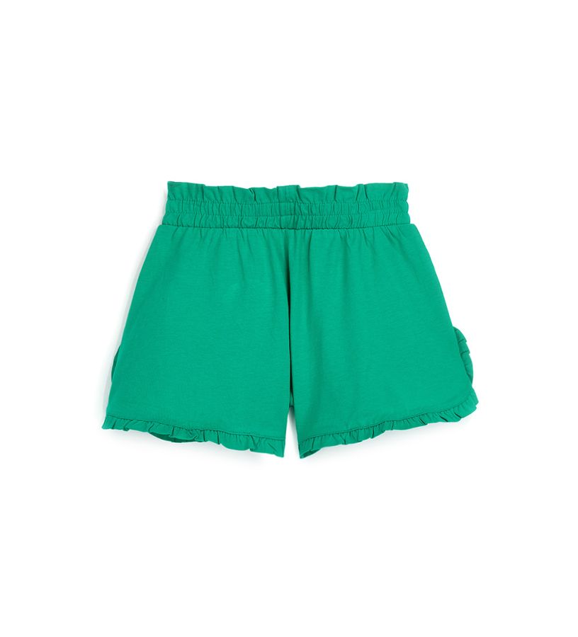 Shorts with embroidery