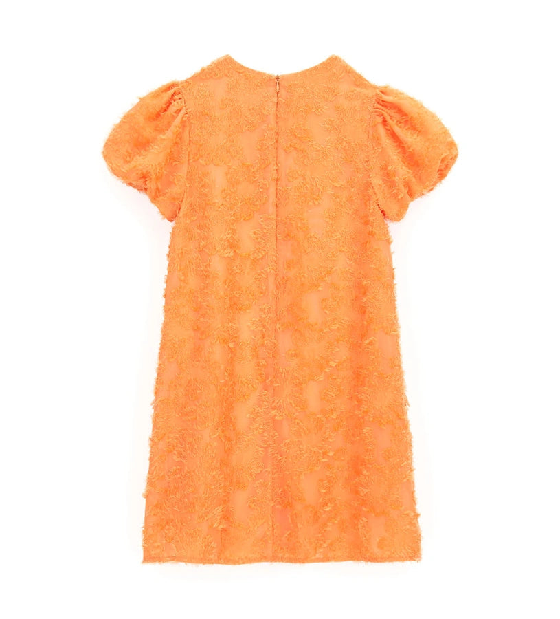 Fabric dress
