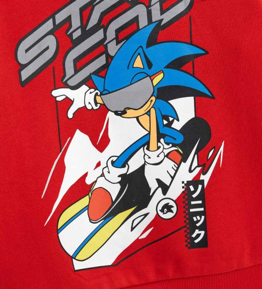 Sonic sweatshirt