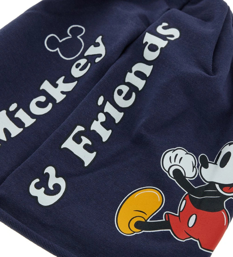 Disney sweatshirt hat