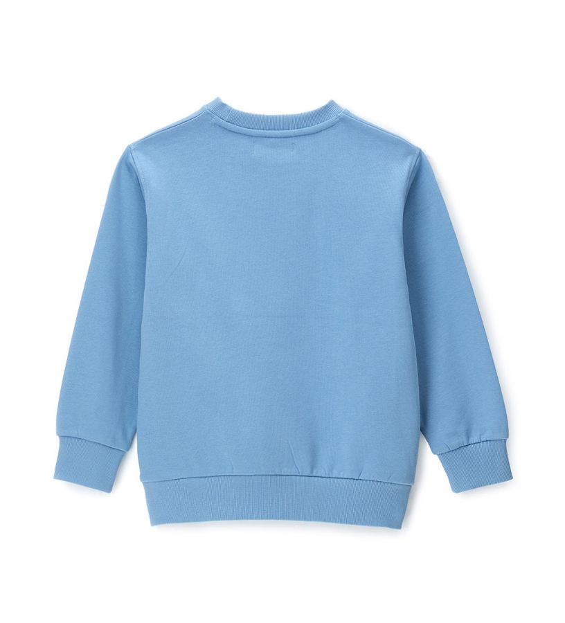 Oversized crew neck sweatshirt