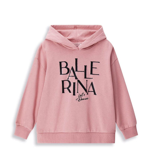 Sweatshirt with glitter and embroidery