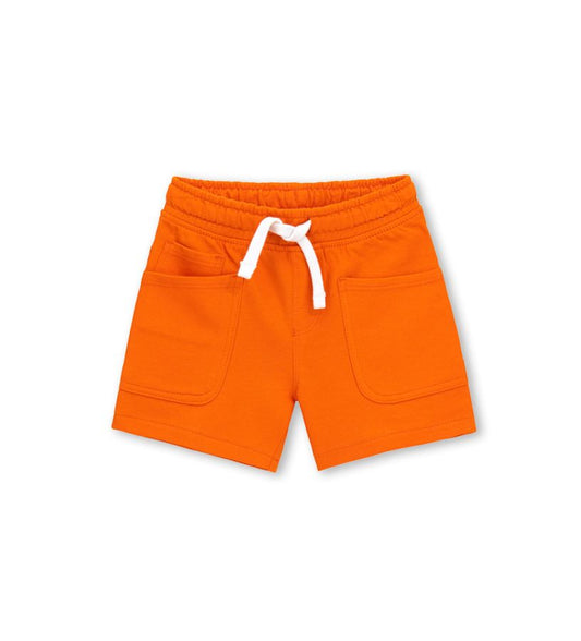 Bermuda shorts with print