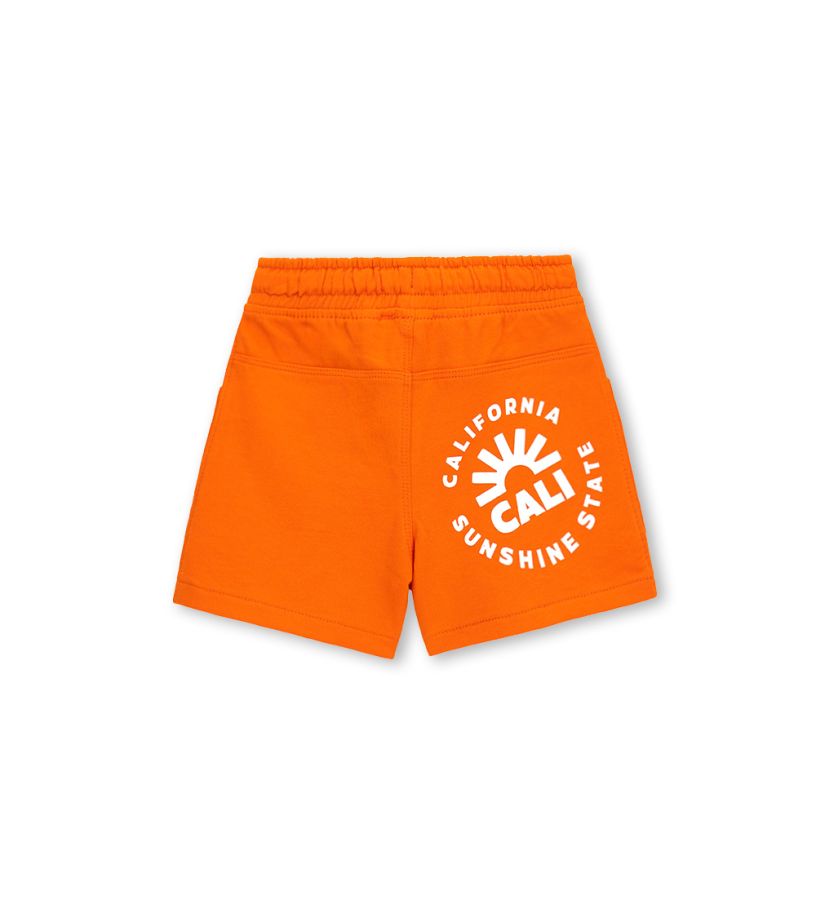 Bermuda shorts with print