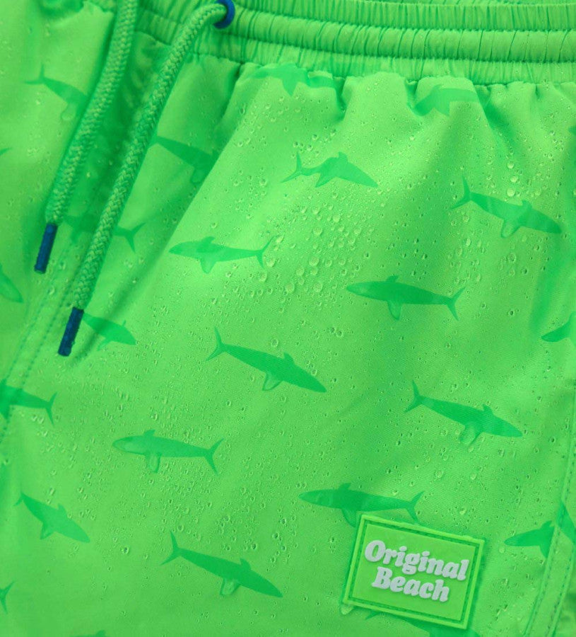 BERMUDA SHORTS