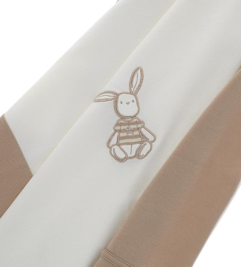 Blanket with bunny