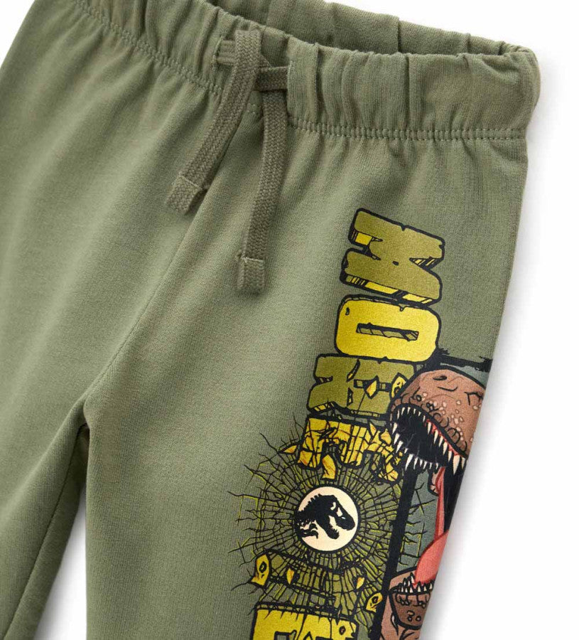 Jurassic World pants