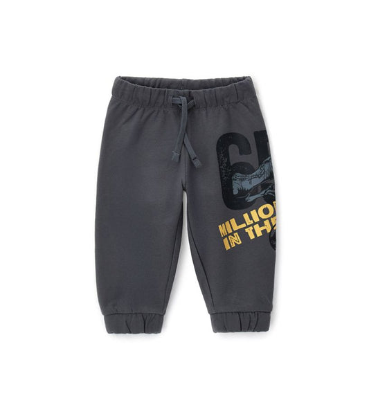 Jurassic World pants