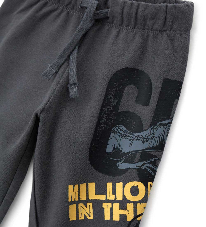Jurassic World pants