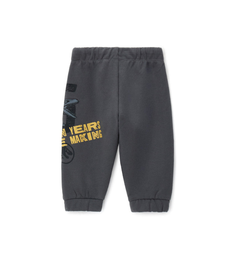 Jurassic World pants