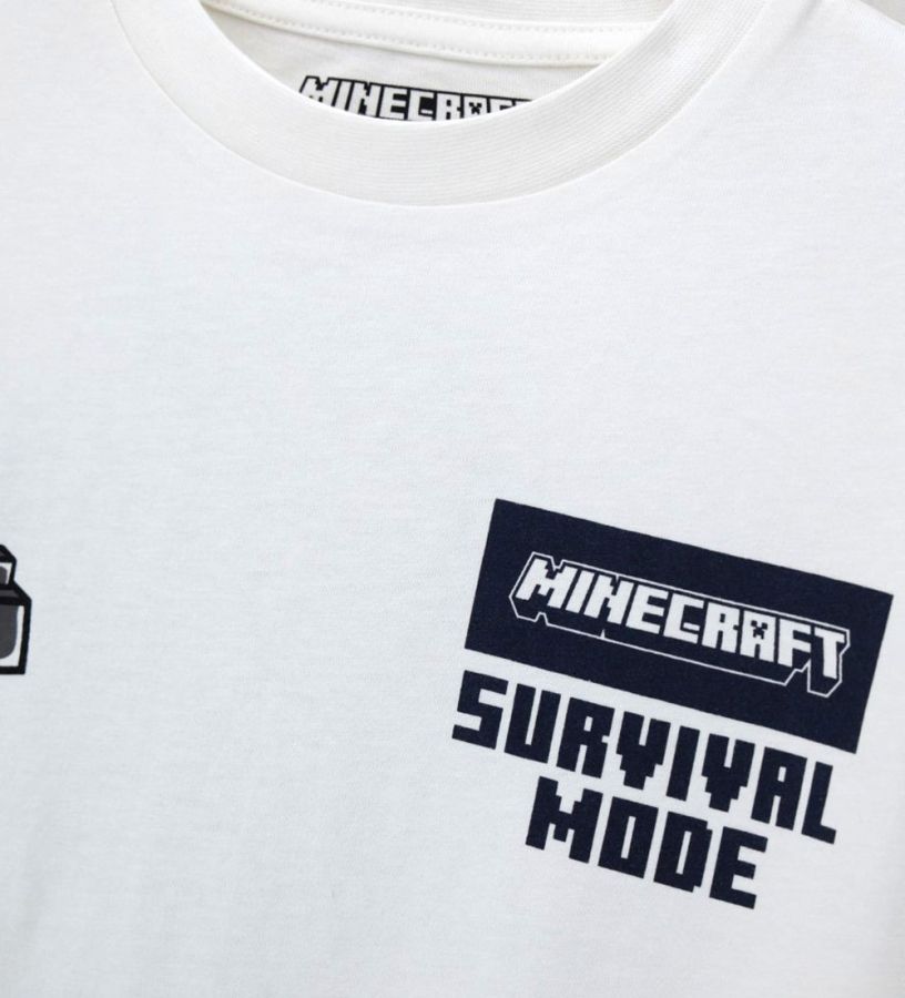 Minecraft t-shirt